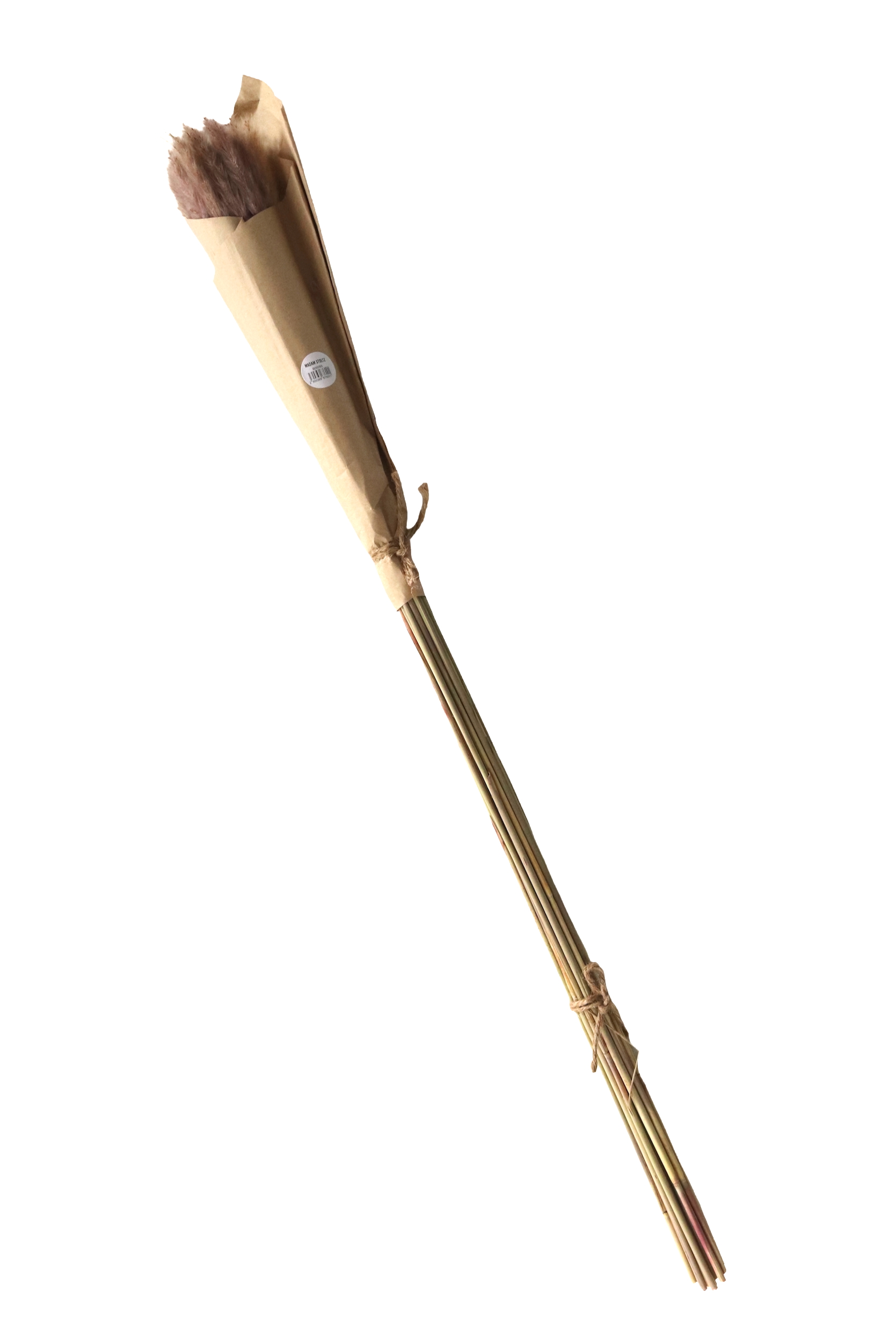 Dried China reed