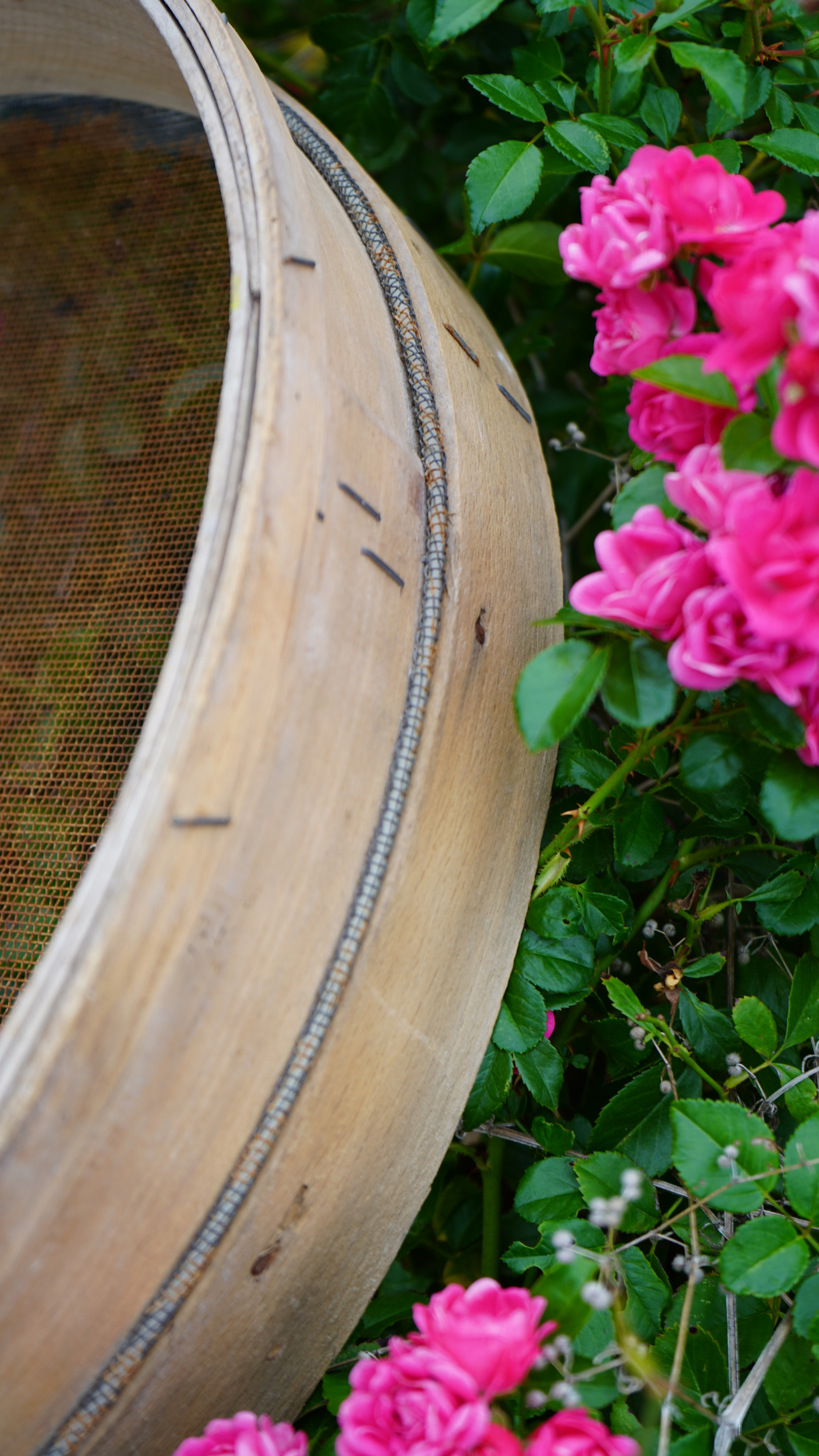 Antikes Holzsieb mit Drahtgeflecht