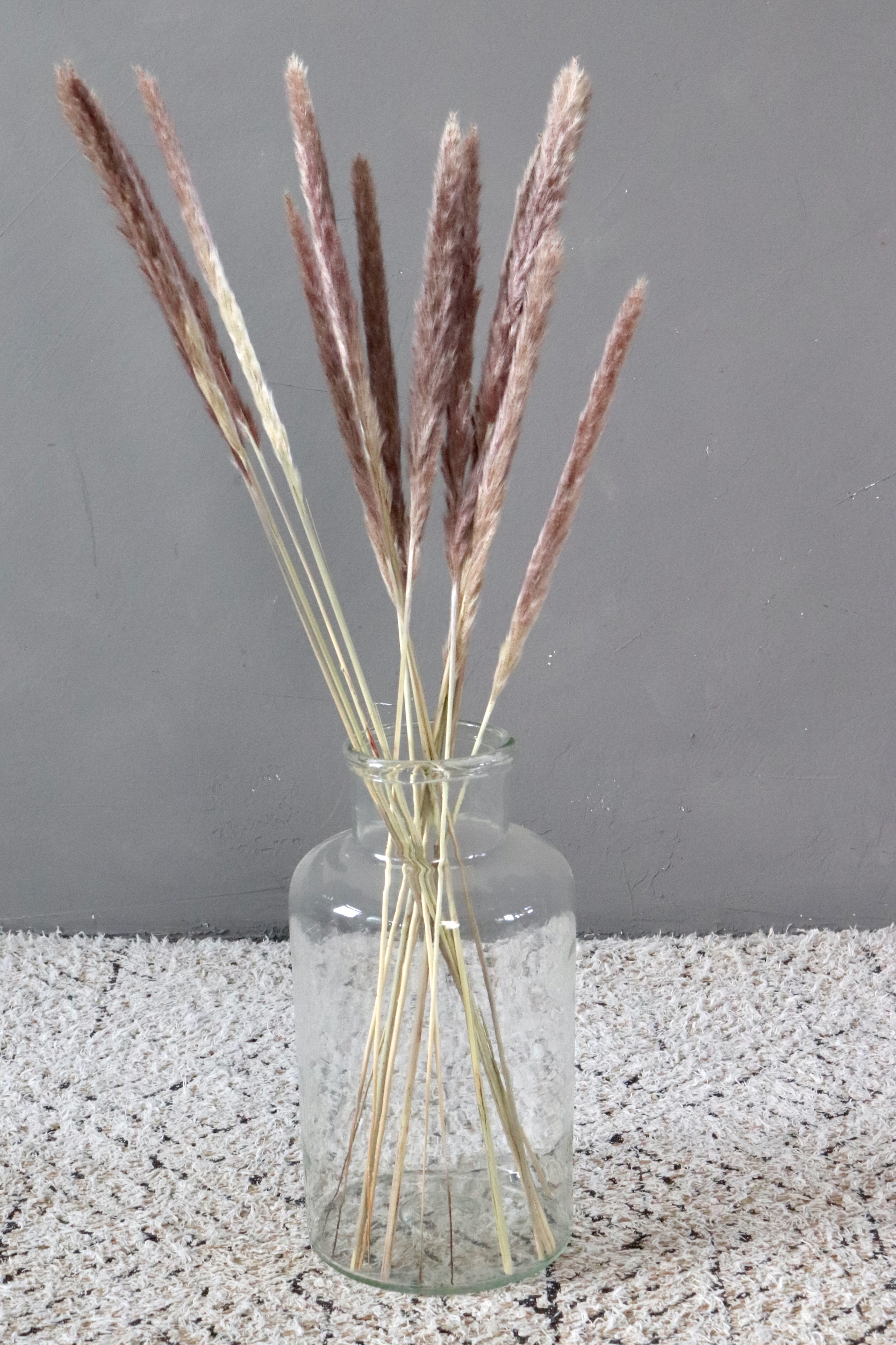 Dried China reed