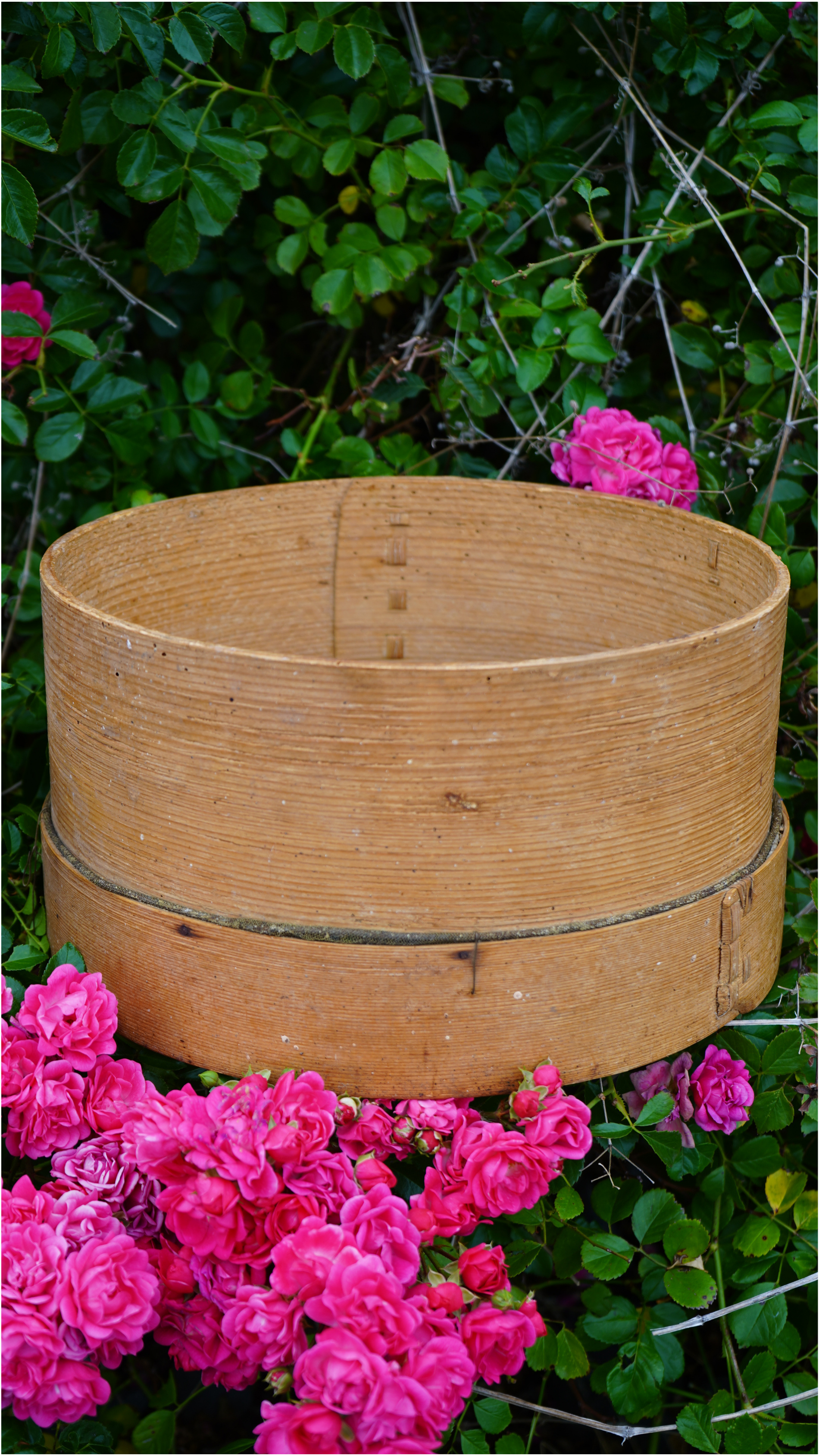 Holzsieb mit Drahtgeflecht - antik