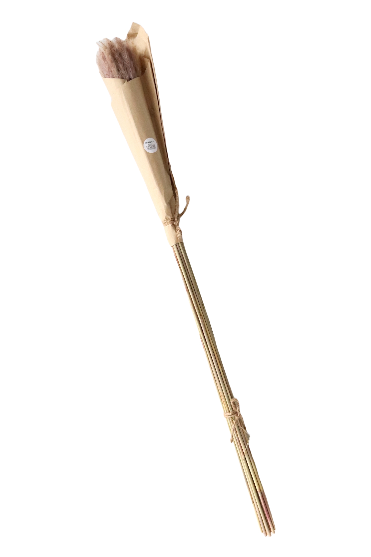 Dried China reed