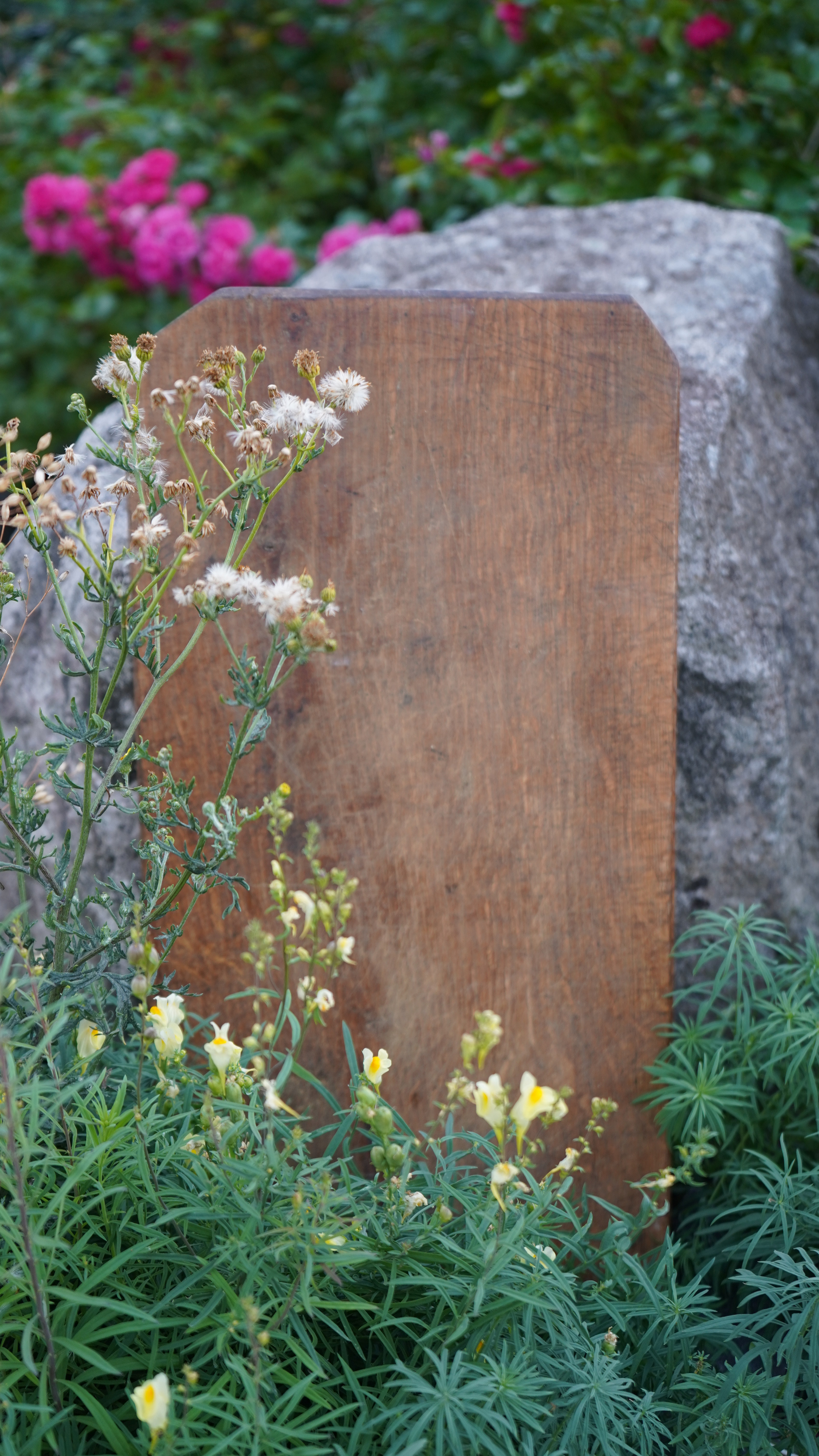 Antikes Holzbrett aus Massivholz