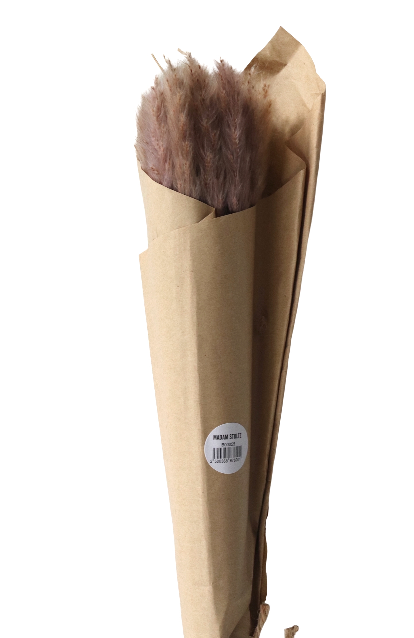Dried China reed